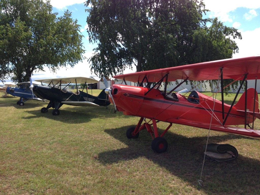 A group of nice looking Hatz Biplanes at the south end.