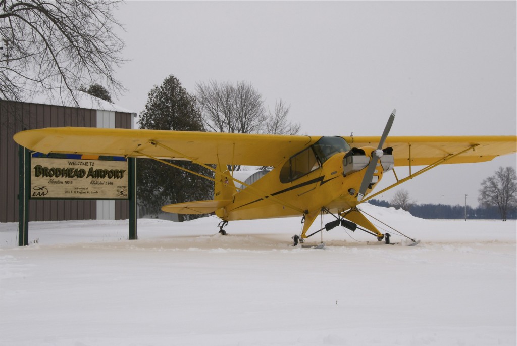 Cub